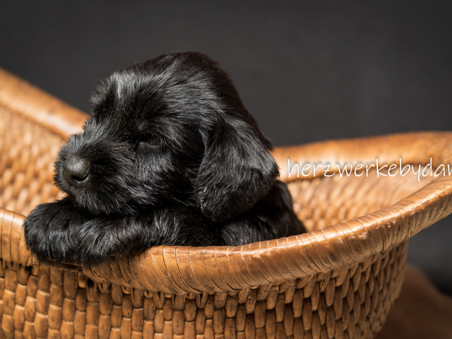 Frau Orange nach 30 Tagen